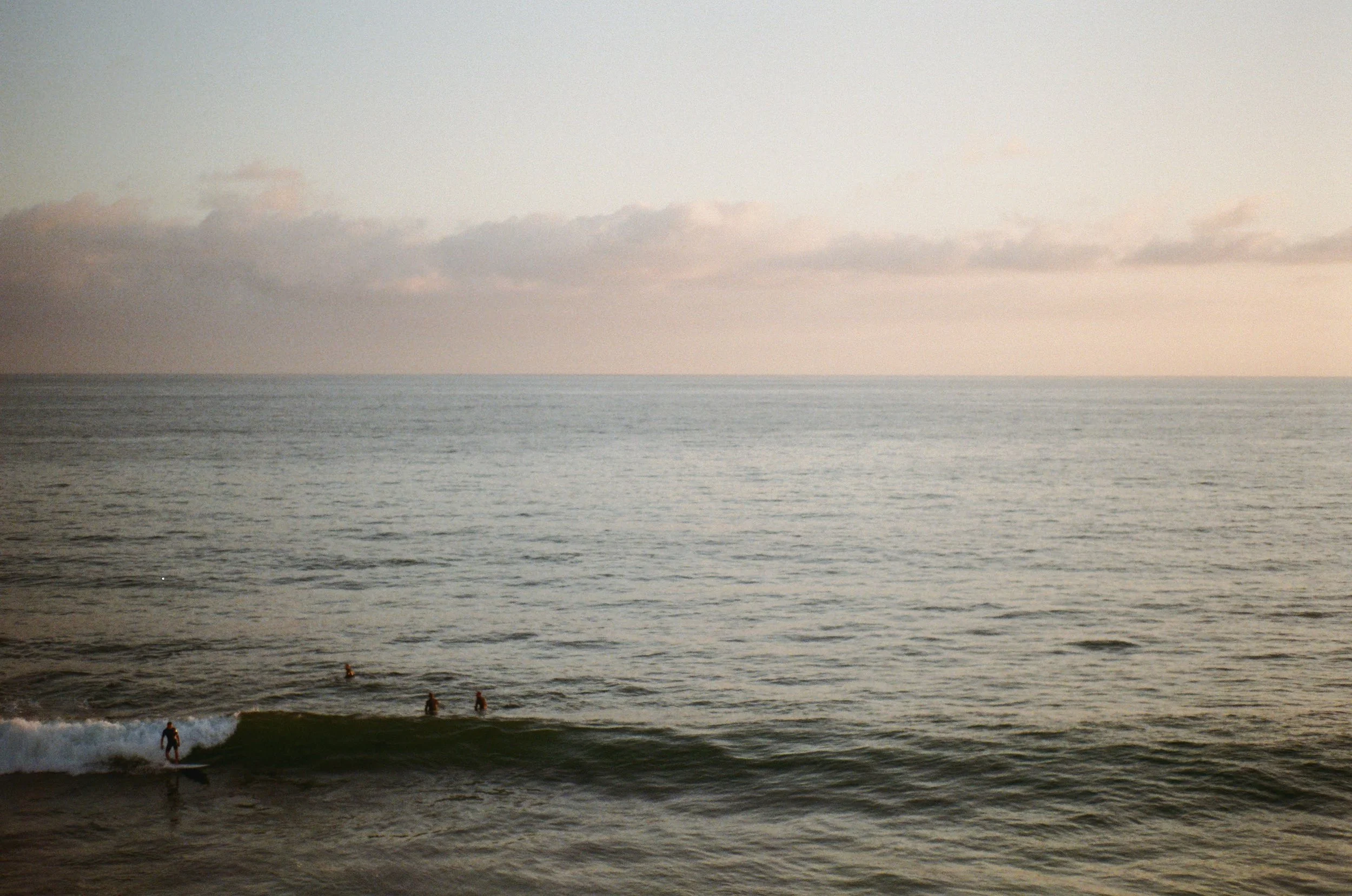 Sarynelli Andersen Portfolio Hero